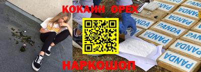 стаф Владимир