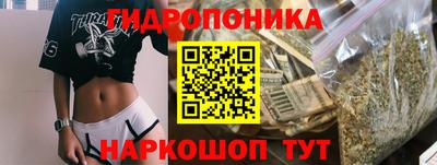 стаф Владимир