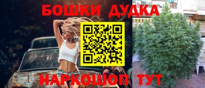 тгк Владикавказ