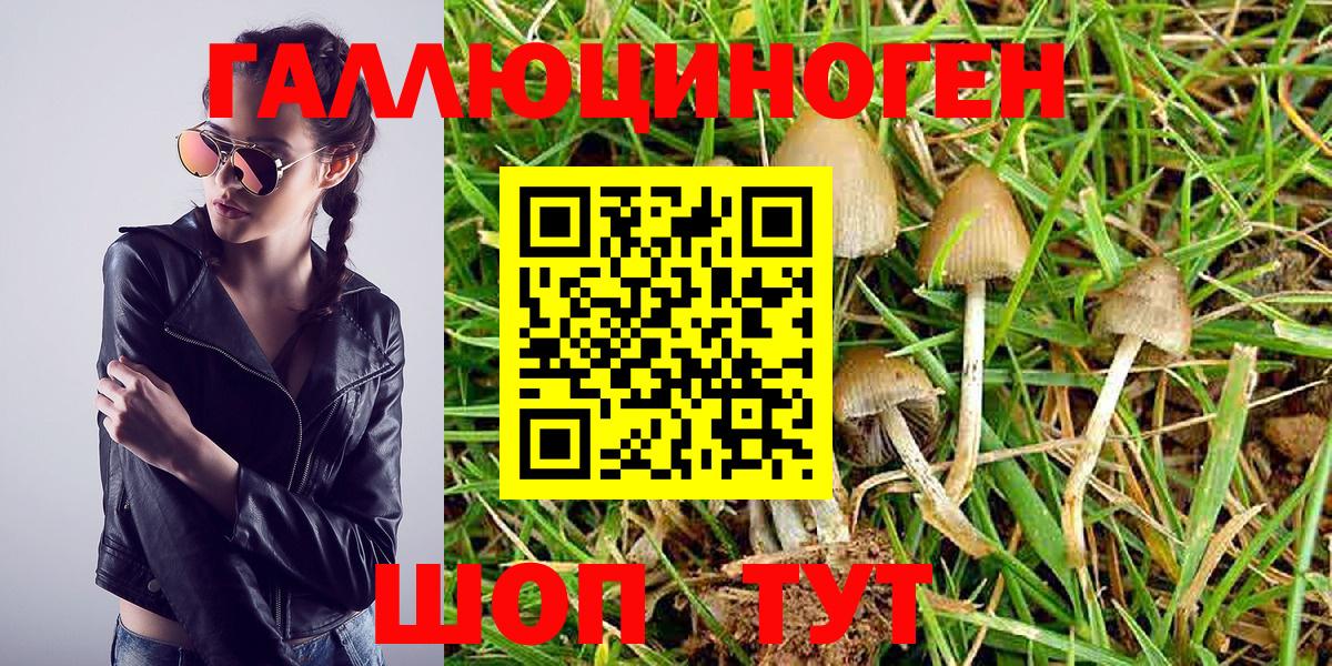 Псилоцибиновые грибы GOLDEN TEACHER  Вход с VPN  Саяногорск 
