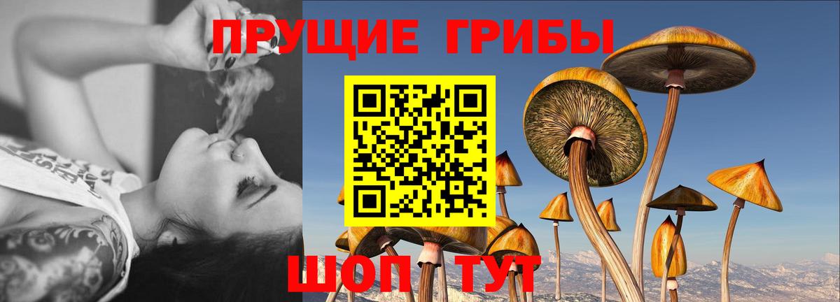 Псилоцибиновые грибы MAGIC MUSHROOMS Саяногорск